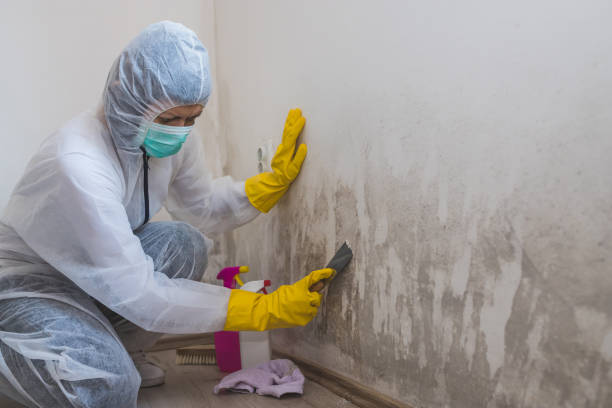 Greencastle, IN Mold Removal Company