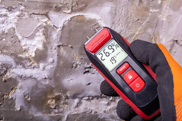 Best Office Mold Removal Services  in Greencastle, IN