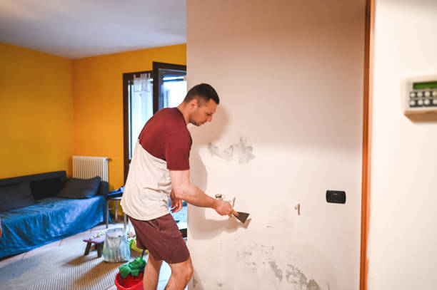 Best Mold Inspection  in Greencastle, IN
